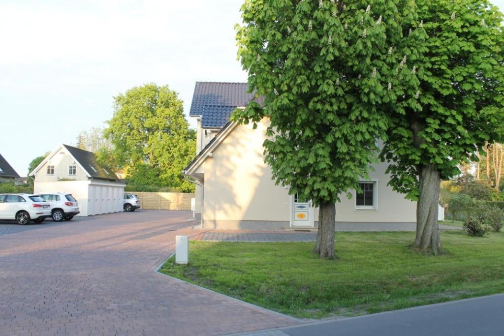 Neue Reihe 28 - Wohnung Vogelnest Цингст Екстериор снимка
